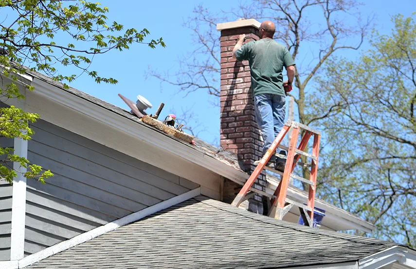 Chimney & Fireplace Inspections Services in Homewood, AL